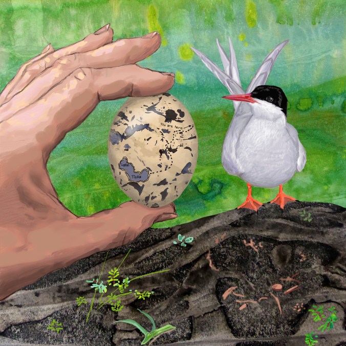 arcticternmaster2flat (1)